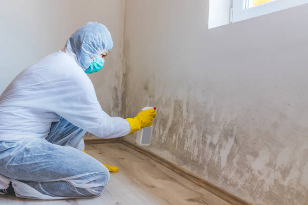 Hvac And Air Duct Mold Remediation inspection of HVAC system in Lake Ann